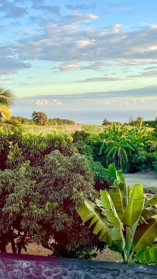 Les Villas De La Ligne Des Bambous Ravine des Cabris Екстер'єр фото